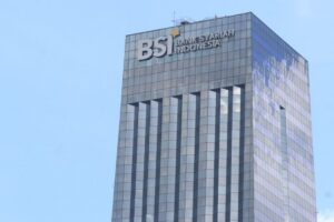 BSI-1