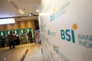 BSI-2