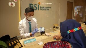 BSI-3