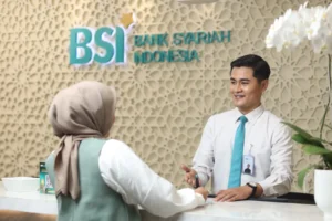 BSI-4