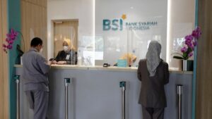 BSI-5