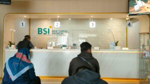 BSI-9